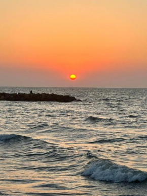 Atardeceres junto al mar